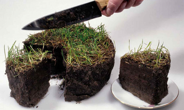 Как муниципалитет забирает земельные участки